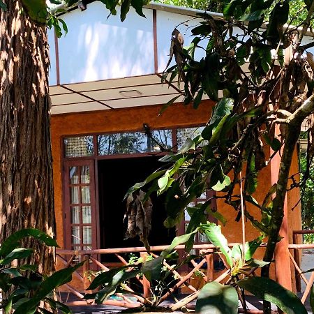 The Nirwana Cottage Ella Extérieur photo