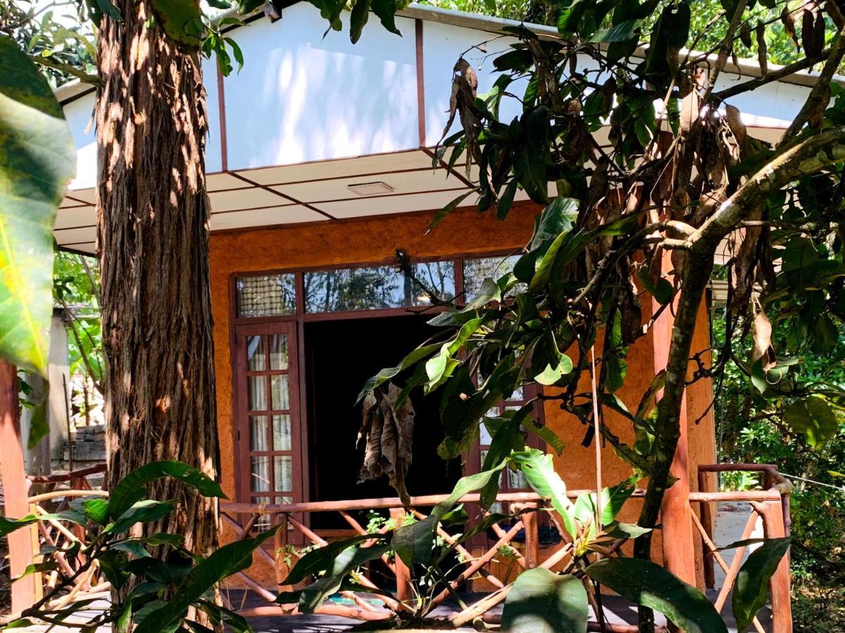 The Nirwana Cottage Ella Extérieur photo